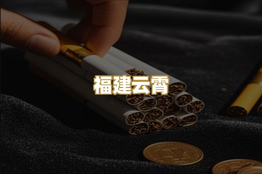福建云霄